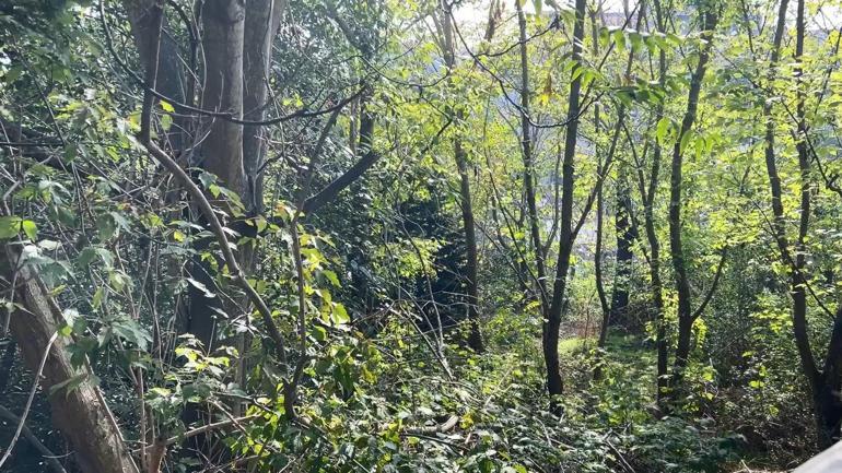 Sarıyer’de kayıp olarak aranan 19 yaşındaki Yusuf ölü bulundu; son görüntüleri ortaya çıktı