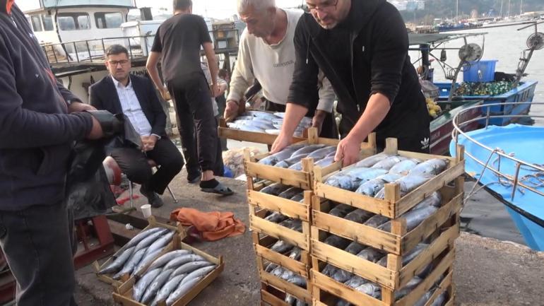 Şile’de palamut bolluğu; kasası 600 liradan satıldı