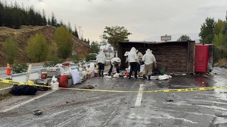 Bal ve arı kovanı yüklü kamyonet devrildi; 3 yaralı
