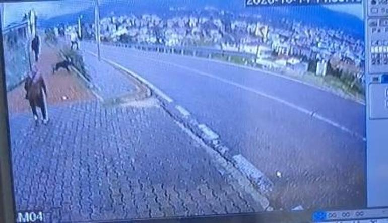 Köpekten kaçarken yüksekten atlayan çocuğun bacağı kırıldı