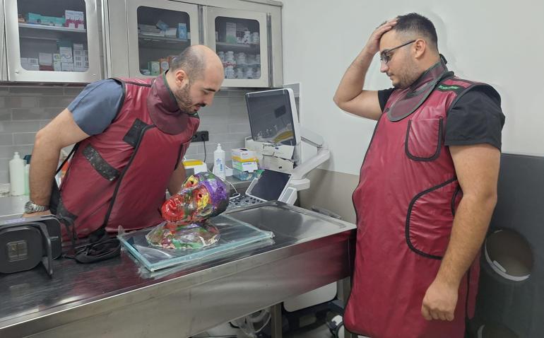 İçine dolaşım sistemini temsilen bulaşık teli koyduğu büstün MR’ını çekip sergiledi