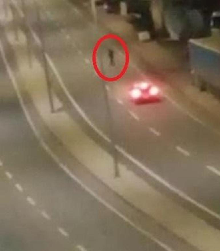 Tehlikeye aldırış etmeden yolun ortasında yürüdü