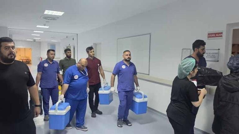 Beyin ölümü gerçekleşen bebeğin organları 3 hastaya umut oldu