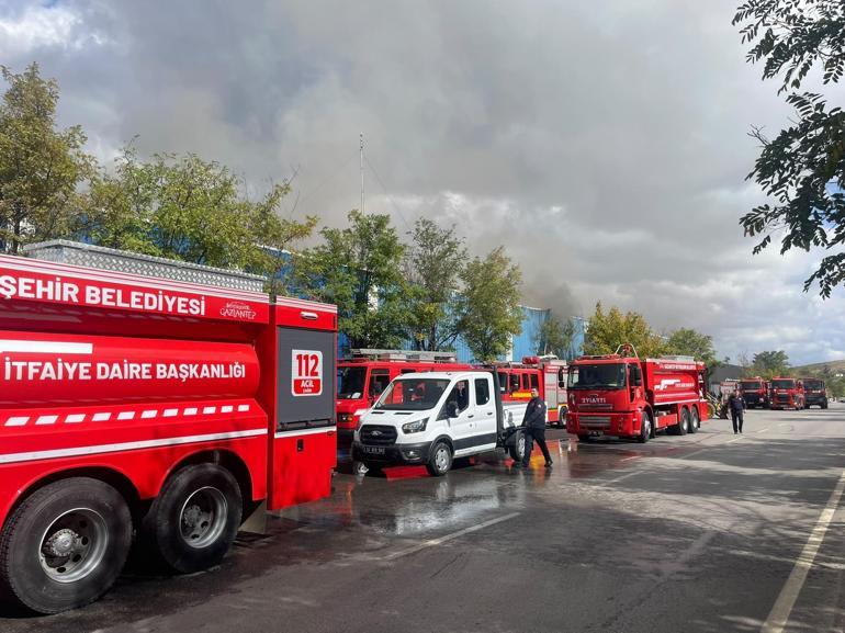 Gaziantep’te pamuk fabrikasında yangın