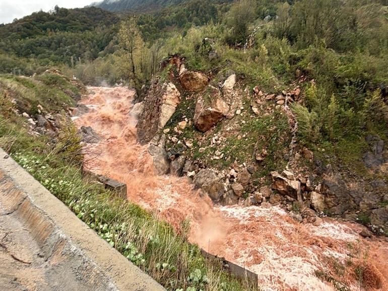 Amasrada fırtına; çok sayıda ağaç devrildi