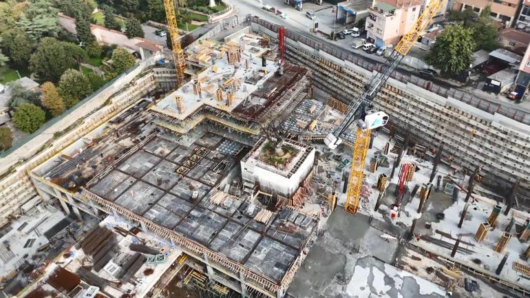 Haliç’in kıyısındaki inşaatın ortasında kalan ağaç havadan görüntülendi