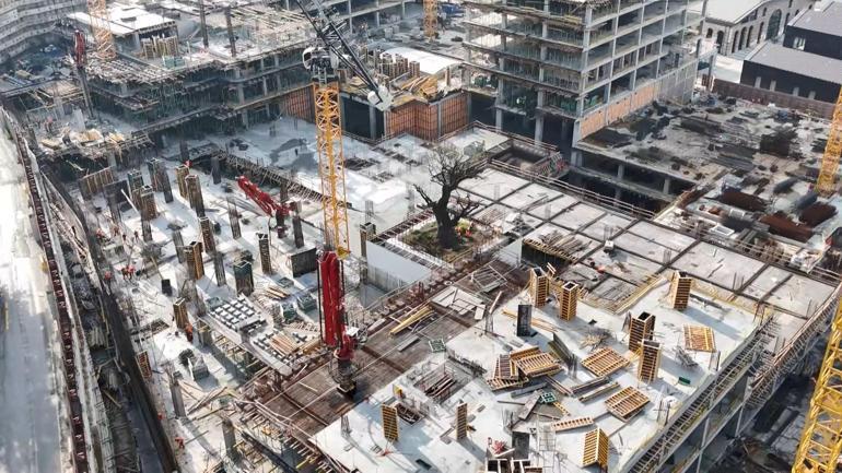 Haliç’in kıyısındaki inşaatın ortasında kalan ağaç havadan görüntülendi