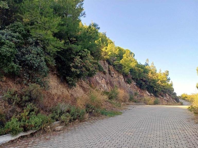 Prof. Dr. Kılıç: Zemine uygun yapılar yapmamız gerekiyor