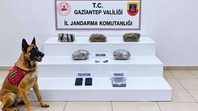 32 ilde uyuşturucu operasyonu; 298 tutuklama