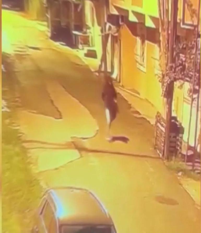 Pendikte haraç istedikleri iş insanı sanıp yemek getiren kuryeyi silahla vurdular