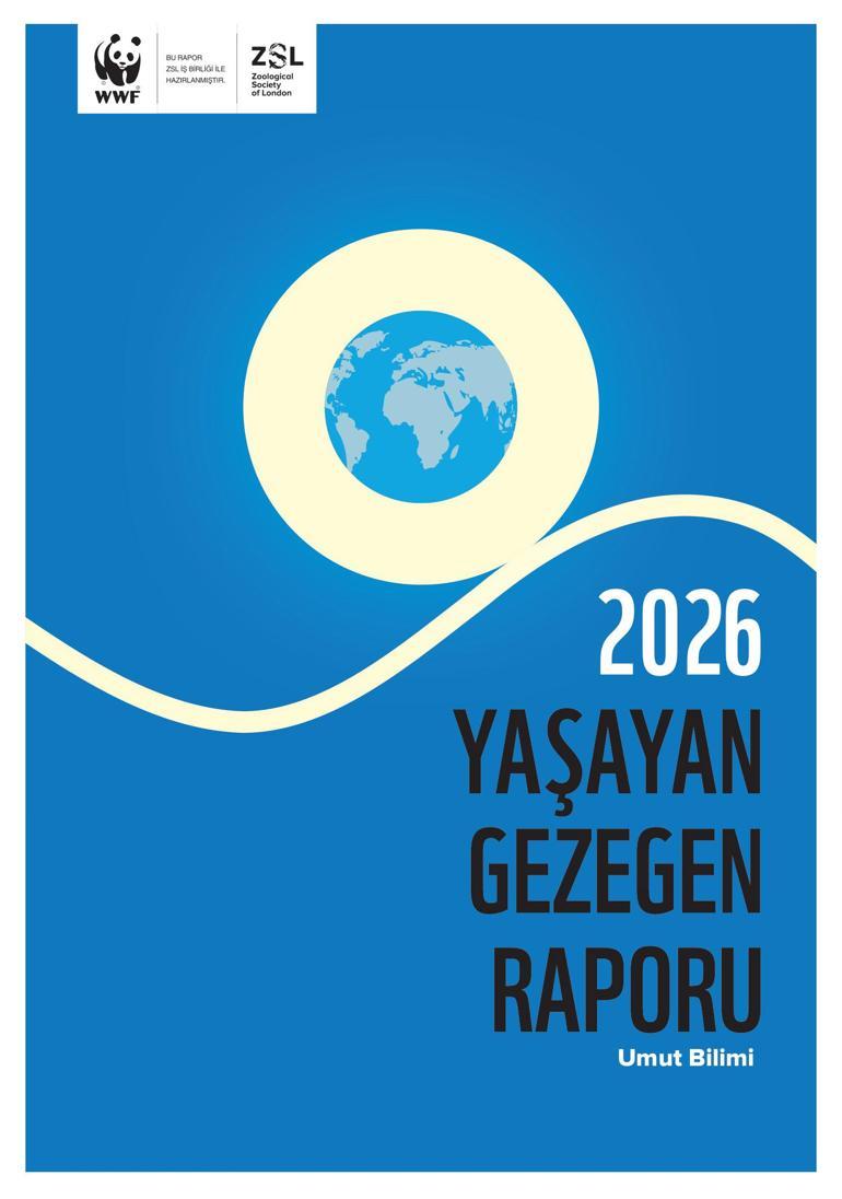 673 milyon insan yetersiz besleniyor, 1 milyardan fazlası obeziteyle yaşıyor