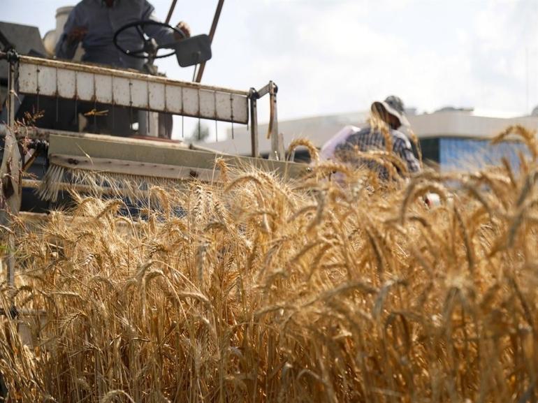 673 milyon insan yetersiz besleniyor, 1 milyardan fazlası obeziteyle yaşıyor
