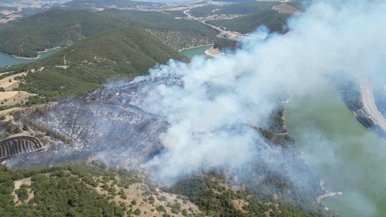 Tokat’ta orman yangını