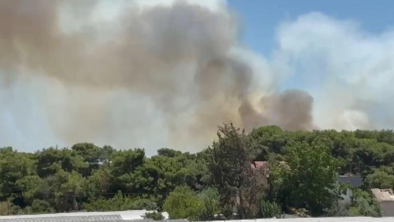 Antalyada orman yangını kontrol altında