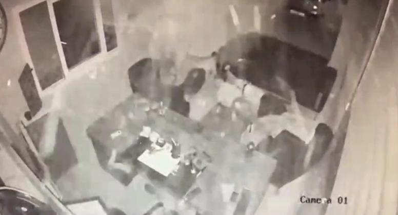 Adanada oto galeriye silahlı saldırı ve yaşanan panik kamerada