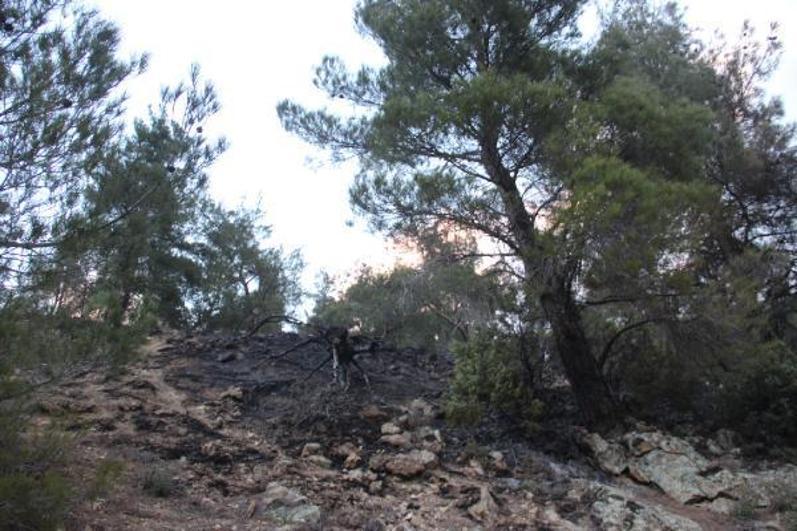 Tarlasından temizlediği otları yakarken çıkan yangında hayatını kaybetti
