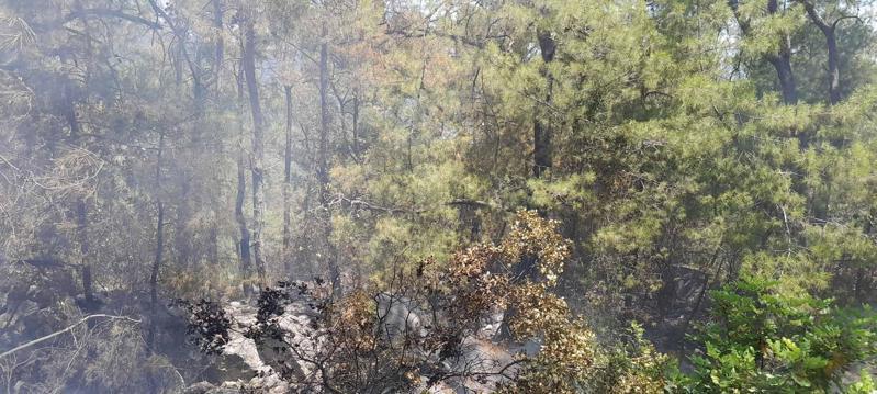 Antalyada orman yangını