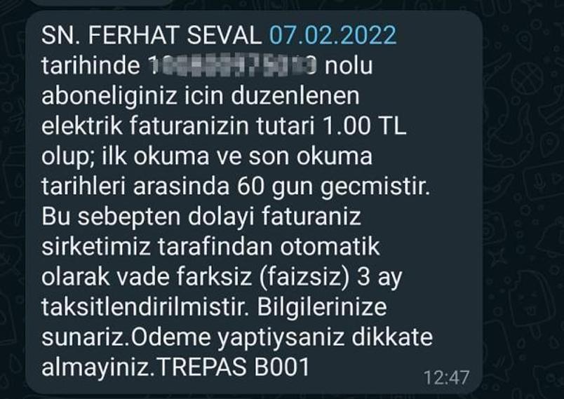 Köydeki evine 1 liralık elektrik faturası geldi, 3 taksitte ödedi