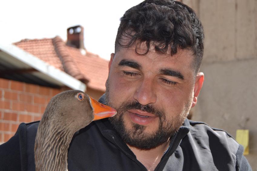 The goose he bought for dinner became his best friend