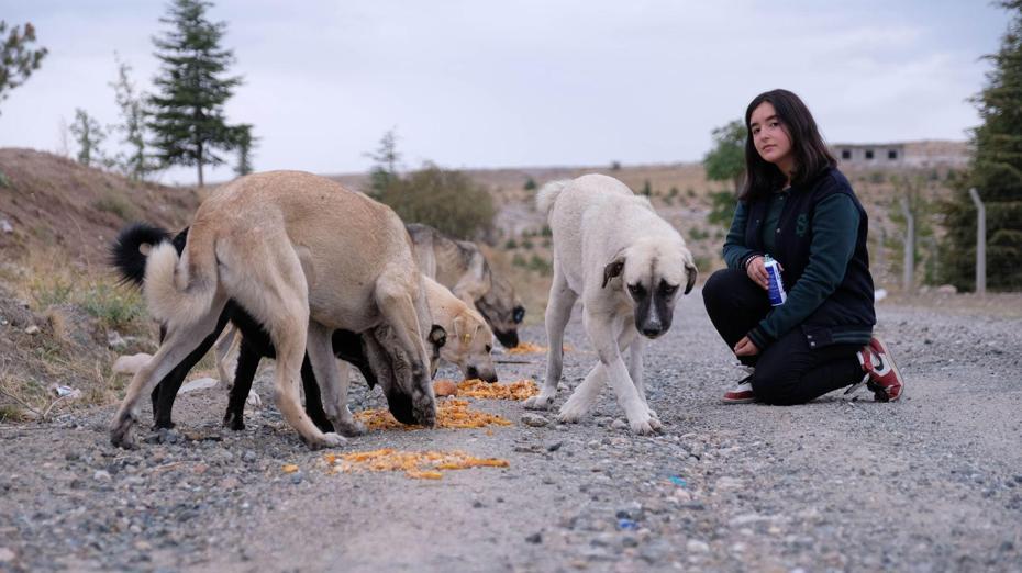 High school student feeds stray animals every day